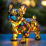 Grigio - Magnifico Bulldog Francese